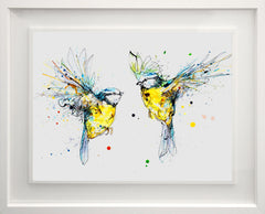 Original - The Ireland Collection - Double Dare