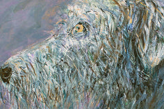 Dream Hound