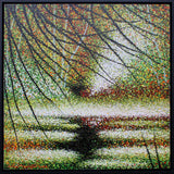 Forest Floor