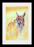 Fox