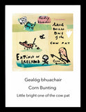 Lost Irish Language - Gealóg Bhuachair