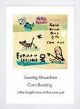 Lost Irish Language - Gealóg Bhuachair