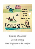 Lost Irish Language - Gealóg Bhuachair