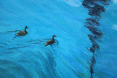 Glenarm River Ducks