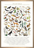 The Lost Spells - Glossary Poster