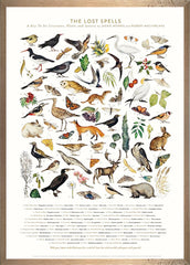 The Lost Spells - Glossary Poster