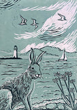 Hare On Shore - Limited Edition