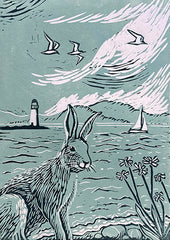Hare On Shore