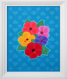 Hibiscus Wonders