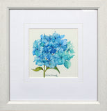 Original - Hydrangea