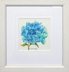 Original - Hydrangea