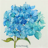 Original - Hydrangea