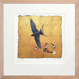 In The Spring Comes The Swallow - Limited Edition