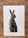 Irish Hare - Black