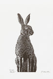 Irish Hare - Grey-Brown