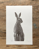 Irish Hare - Grey-Brown