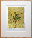 The Lost Words - Dandelion Premium Edition - Limited Edition