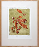 The Lost Words - Conker - Limited Edition