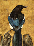 The Lost Words - Magpie - Limited Edition