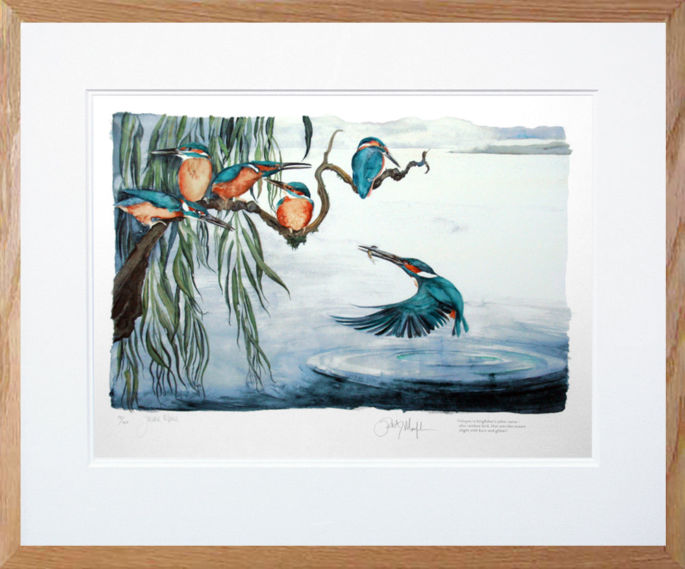 The Lost Words Prints | Jackie Morris | Kingfishers – Yard Gallery
