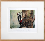 The Lost Spells - Great Spotted Woodpecker - Limited Edition