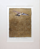 The Lost Words - Lark Premium Edition Artist Proof - Limited Edition
