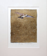 The Lost Words - Lark Premium Edition Artist Proof