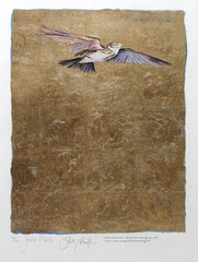 The Lost Words - Lark Premium Edition Artist Proof