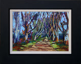 Morning Sun On The Dark Hedges