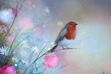 Original - Morning Song