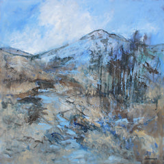 Original - Mourne Mountain Track