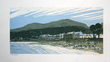 Linocut Print - Newcastle 1997 - Limited Edition