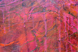 Nature's Fury 2