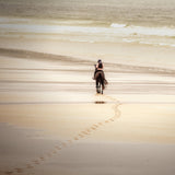On The Beach VI