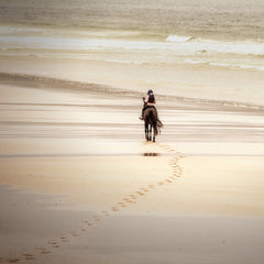 On The Beach VI