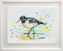 Original - The Ireland Collection - Oystercatcher