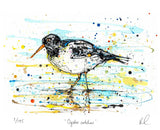 Print The Ireland Collection - Oystercatcher - Limited Edition