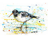 Print The Ireland Collection - Oystercatcher - Limited Edition
