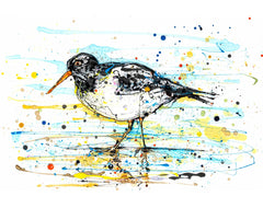 Print Ltd Edition The Ireland Collection - Oystercatcher