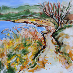 Pathway Around Crawfordsburn
