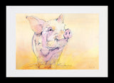 Pig