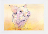 Pig