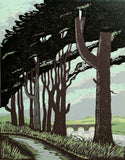 Linocut Print - Pine Trees On Murlough Dundrum 2007 - Limited Edition