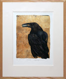 The Lost Words - Raven - Limited Edition