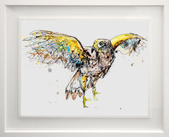 Original - The Ireland Collection - Rise And Fall