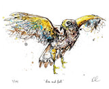 Print The Ireland Collection - Rise And Fall - Limited Edition