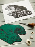 Sea Otter With Cub