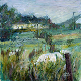 Sheep May Safely Graze