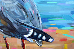 Sid The Seagull
