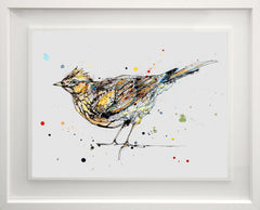 Original - The Ireland Collection - Skylark